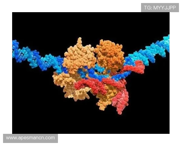 全球挑战赛分析：BLG在速度表现上的卓越与潜力探讨