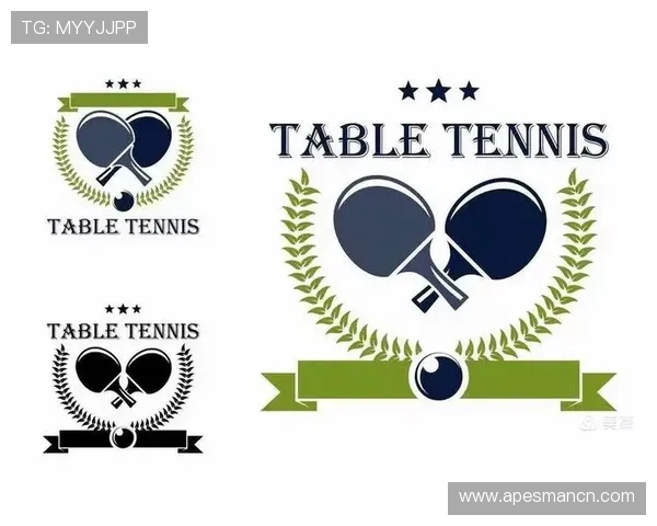 武汉乒乓球队的战术创新与转换体系解析与应用探讨