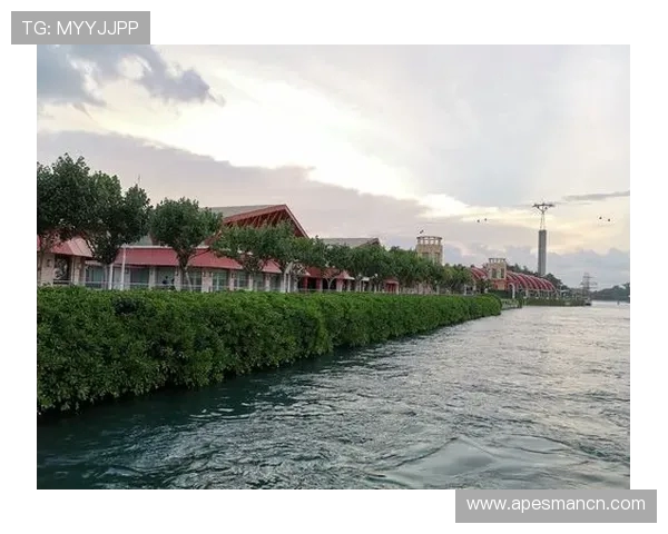 深圳极限运动队配合表现分析与提升策略探讨