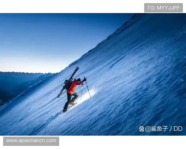 西安极限运动队的反击之路：挑战极限与自我超越的深度探索