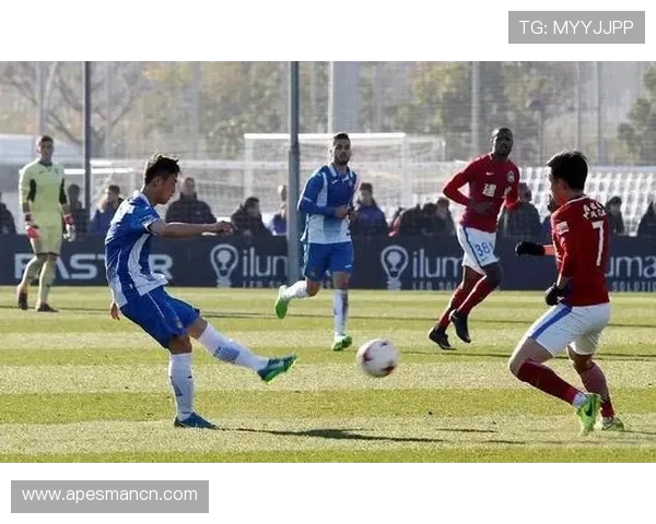 西安羽毛球队反击之路的得失与启示分析