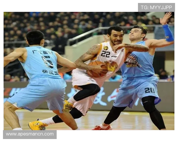 2013年北京与新疆总决赛精彩回顾与赛季亮点分析